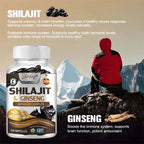 Shilajit Extract Capsules for Energy and Performance