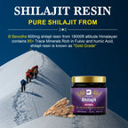 Himalayan Shilajit Resin Paste - 2 Bottles, 60g Each