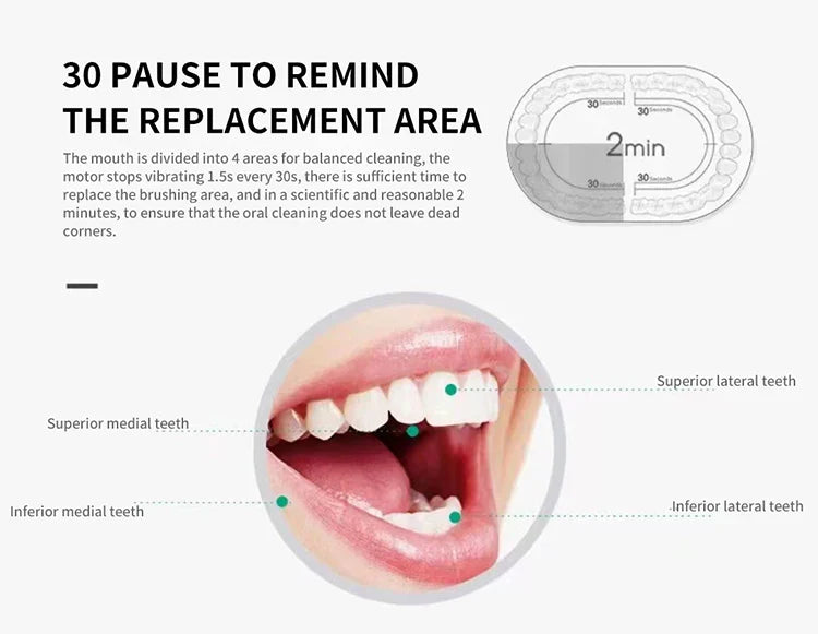 Electric Ultrasonic Toothbrush USB Charging Waterproof Adult